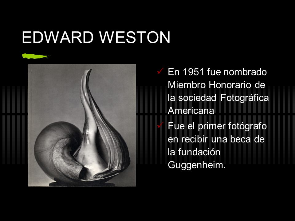 EDWARD WESTON En 1951 fue nombrado Miembro Honorario de la sociedad Fotográfica Americana.