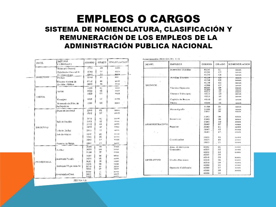 empleos o cargos sistema de nomenclatura, clasificación y remuneración de los empleos de la administración publica nacional