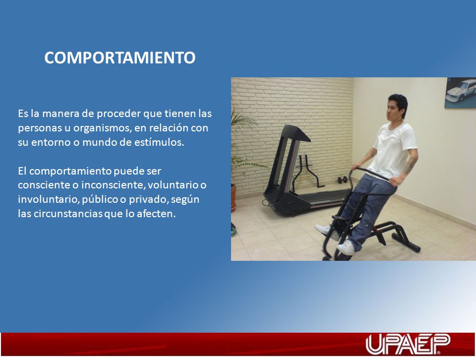 COMPORTAMIENTO Es la manera de proceder que tienen las personas u organismos, en relación con su entorno o mundo de estímulos.