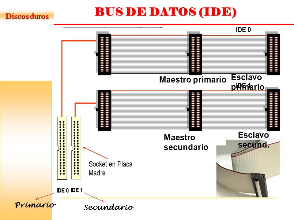 BUS DE DATOS (IDE) Discos duros Esclavo primario Maestro primario