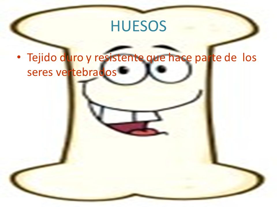 HUESOS Tejido duro y resistente que hace parte de los seres vertebrados