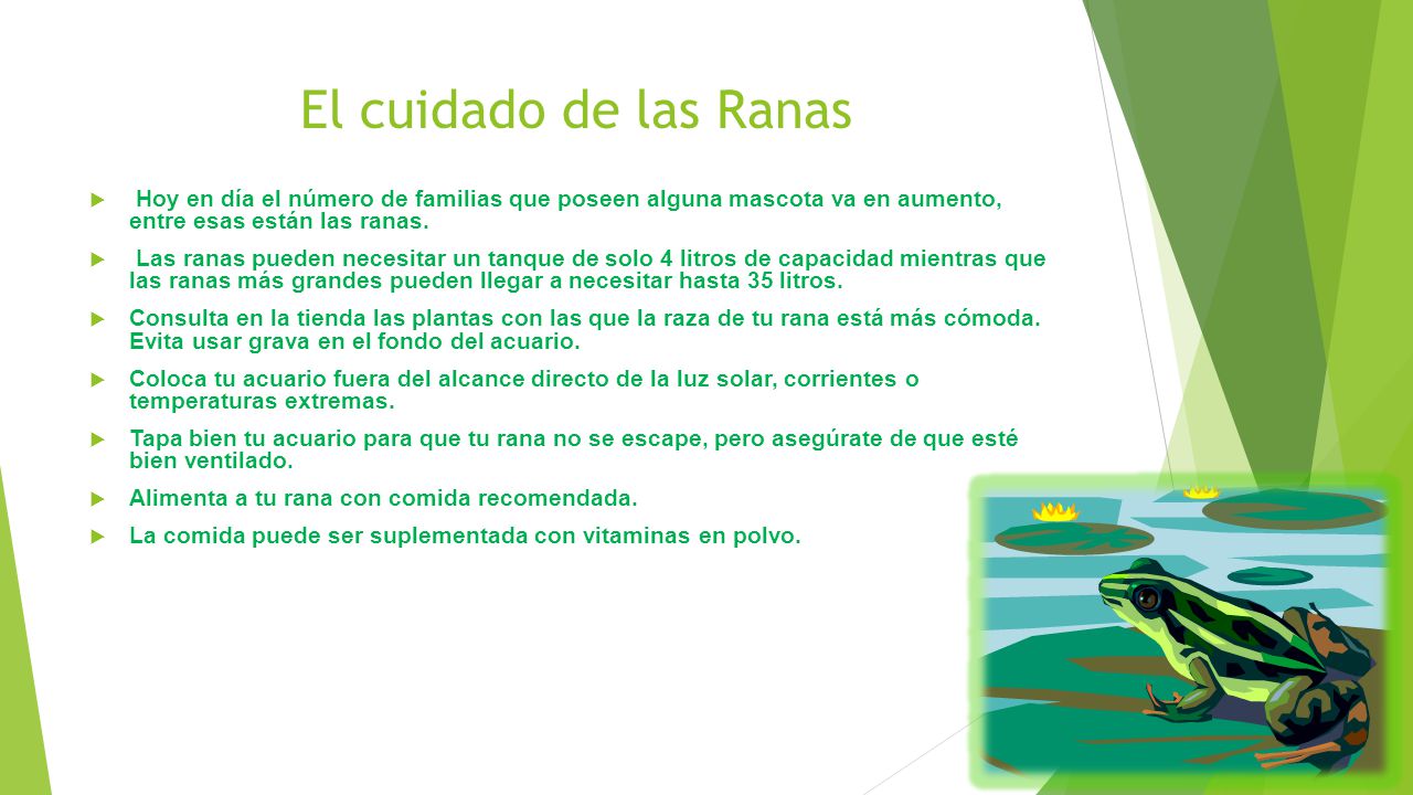 El cuidado de las Ranas Hoy en día el número de familias que poseen alguna mascota va en aumento, entre esas están las ranas.