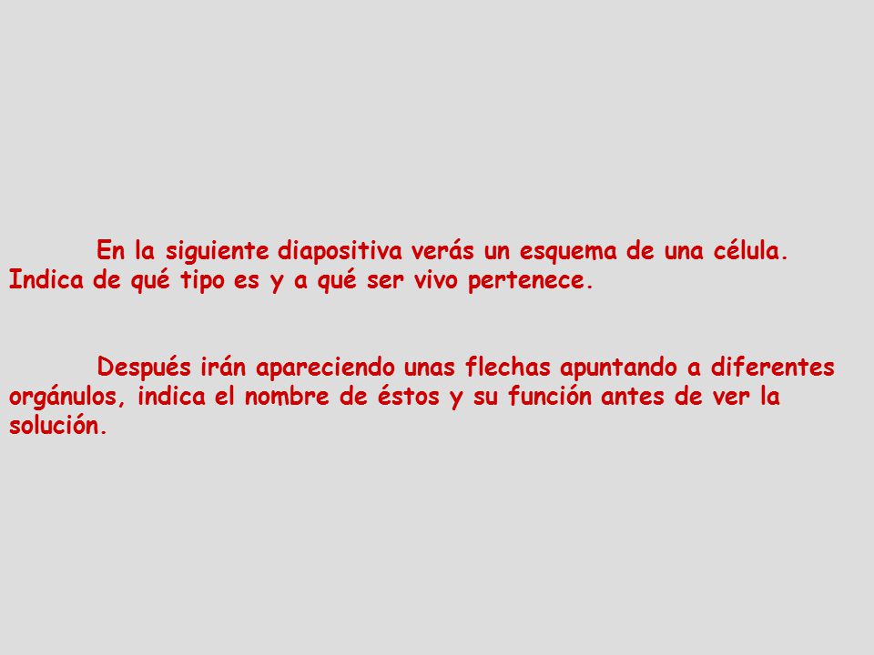 En la siguiente diapositiva verás un esquema de una célula