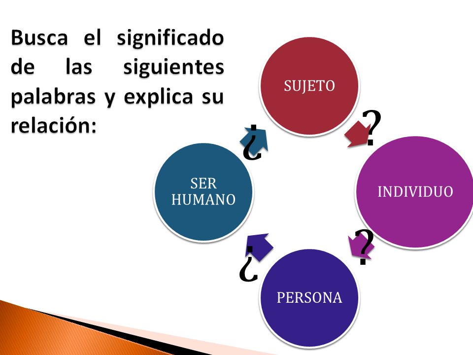 Busca el significado de las siguientes palabras y explica su relación: