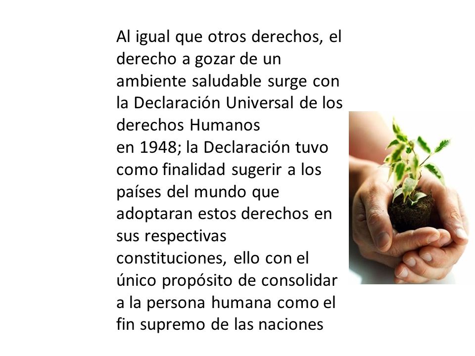 Al igual que otros derechos, el derecho a gozar de un ambiente saludable surge con la Declaración Universal de los derechos Humanos