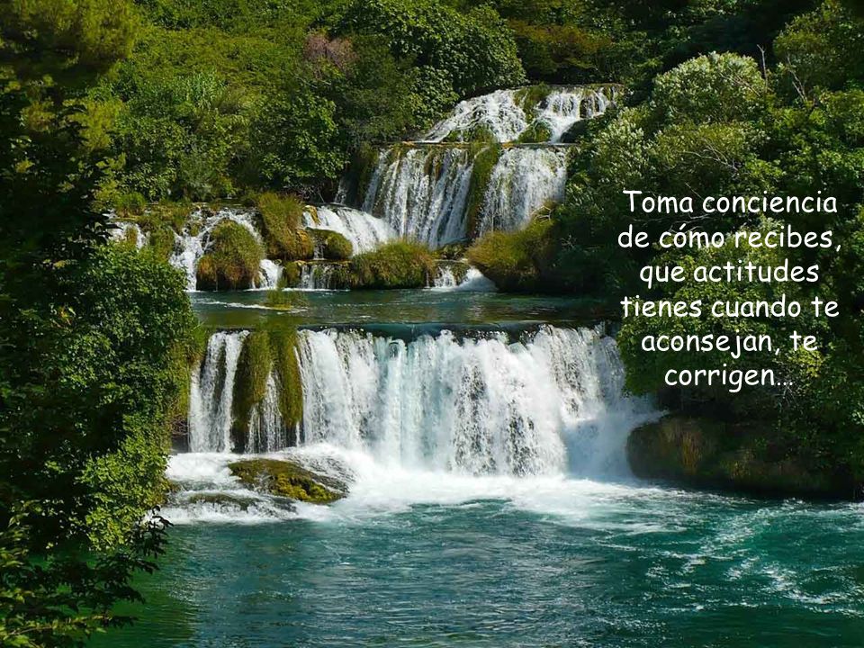 Toma conciencia de cómo recibes, que actitudes tienes cuando te aconsejan, te corrigen…