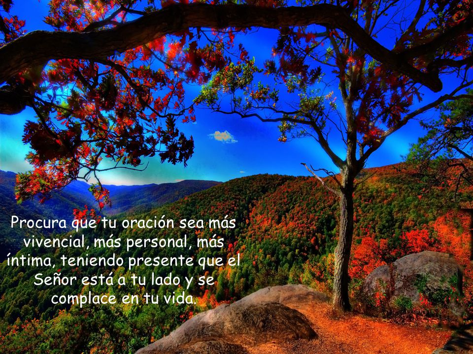 Procura que tu oración sea más vivencial, más personal, más íntima, teniendo presente que el Señor está a tu lado y se complace en tu vida.