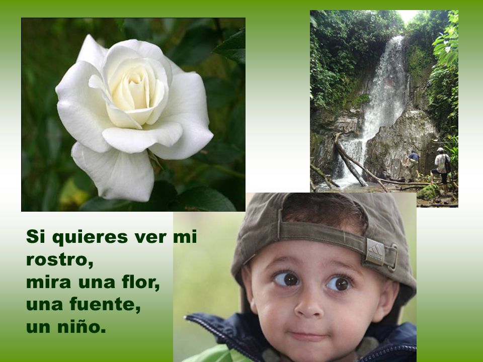 Si quieres ver mi rostro,