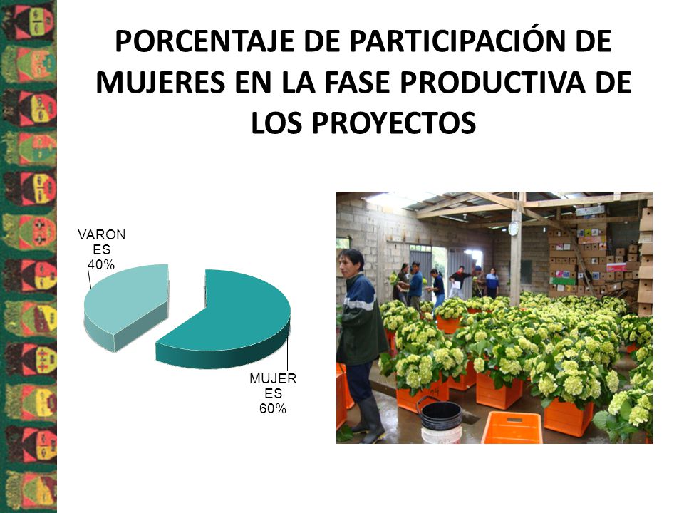 PORCENTAJE DE PARTICIPACIÓN DE MUJERES EN LA FASE PRODUCTIVA DE LOS PROYECTOS