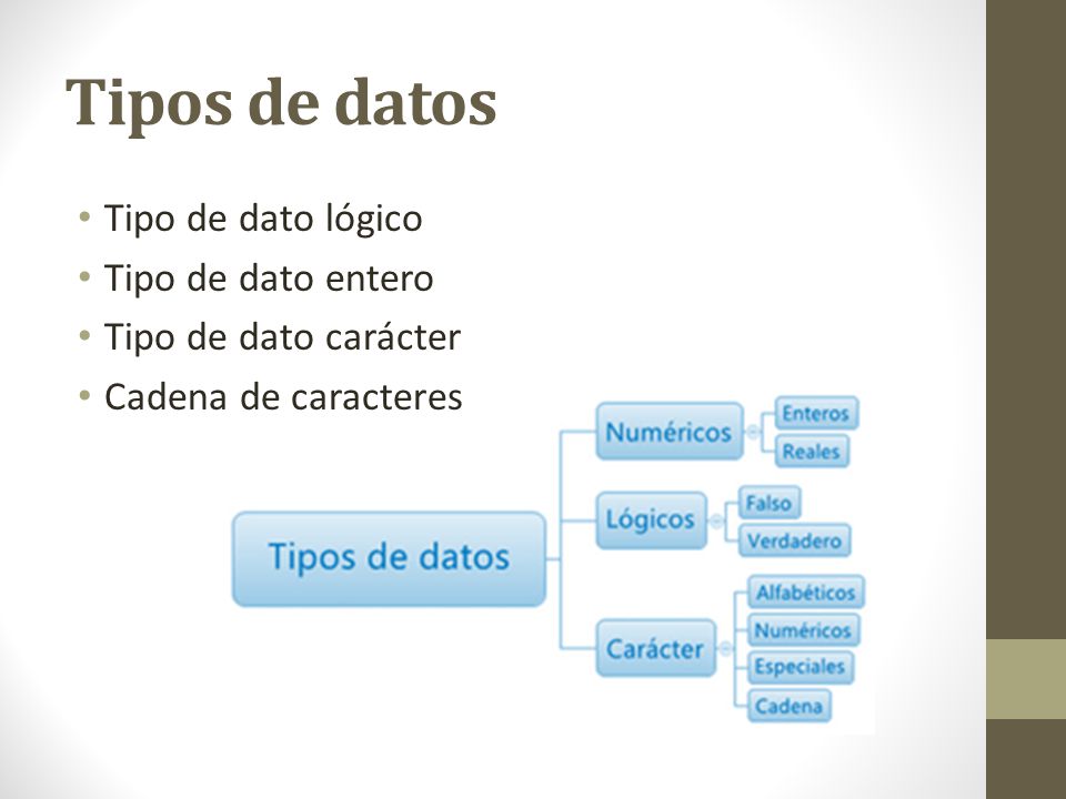 Tipos de datos Tipo de dato lógico Tipo de dato entero