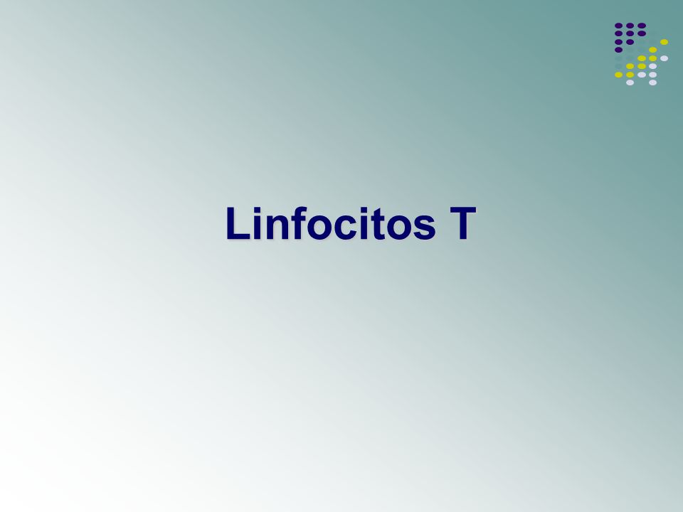 Linfocitos T