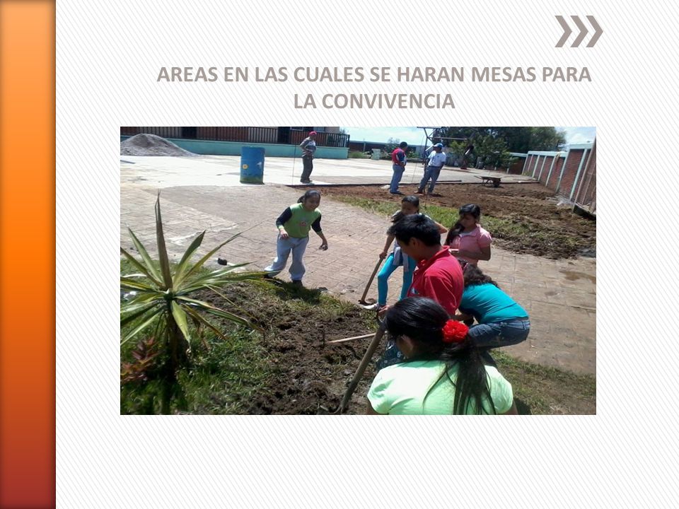 AREAS EN LAS CUALES SE HARAN MESAS PARA LA CONVIVENCIA