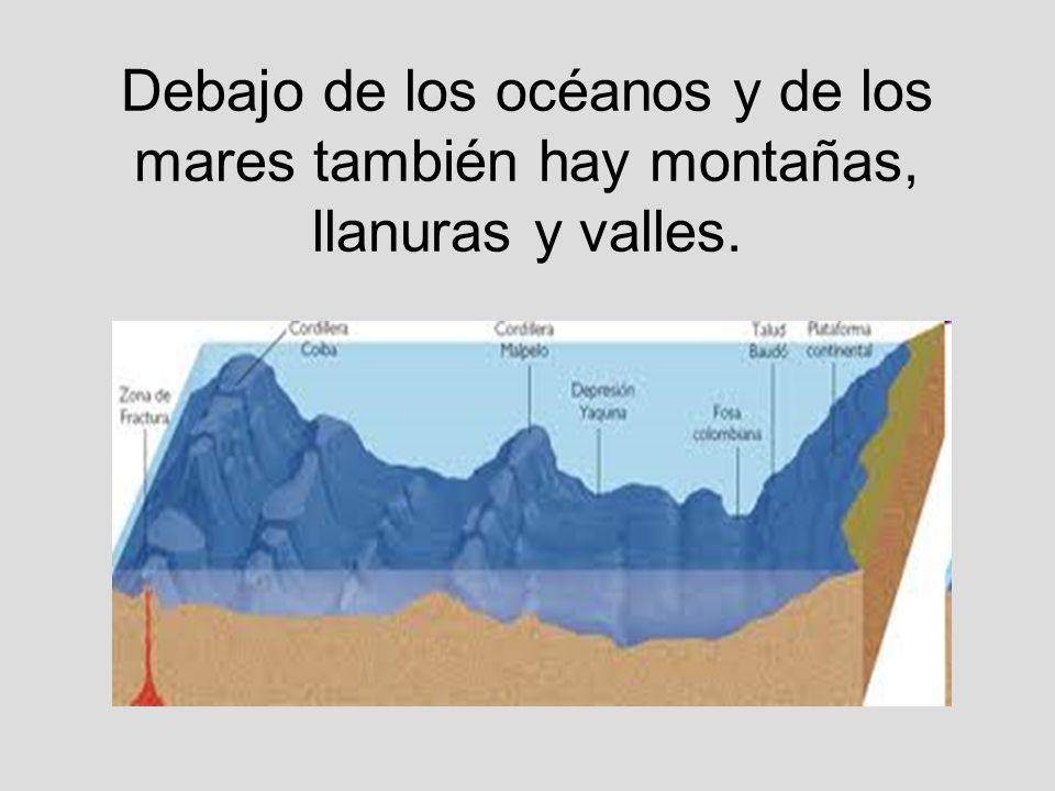 Debajo de los océanos y de los mares también hay montañas, llanuras y valles.