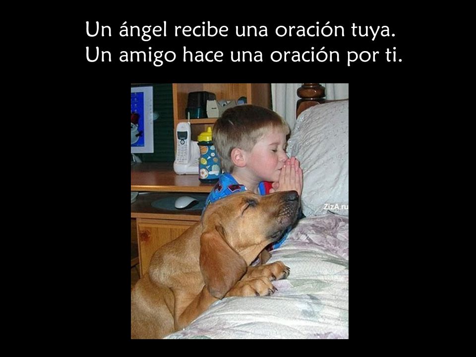 Un ángel recibe una oración tuya. Un amigo hace una oración por ti.
