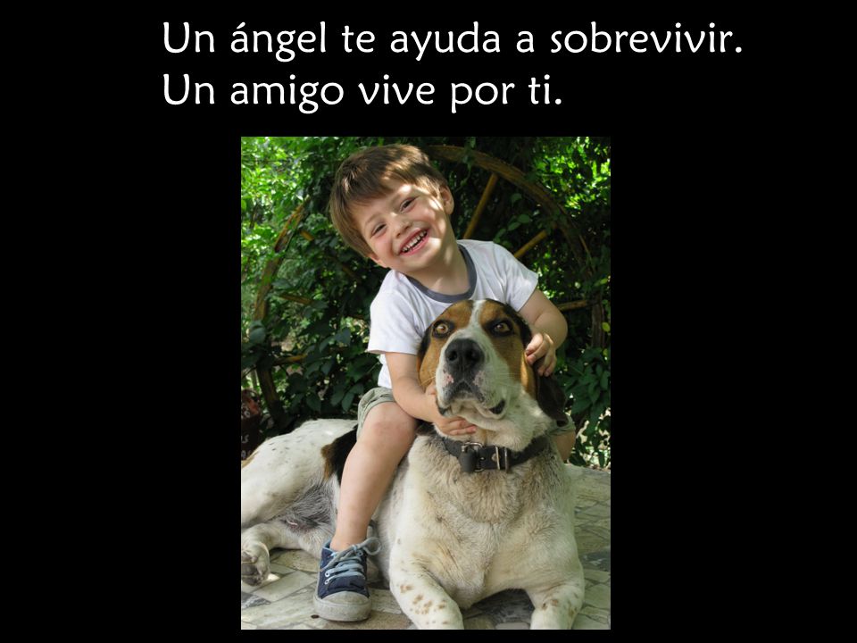 Un ángel te ayuda a sobrevivir. Un amigo vive por ti.