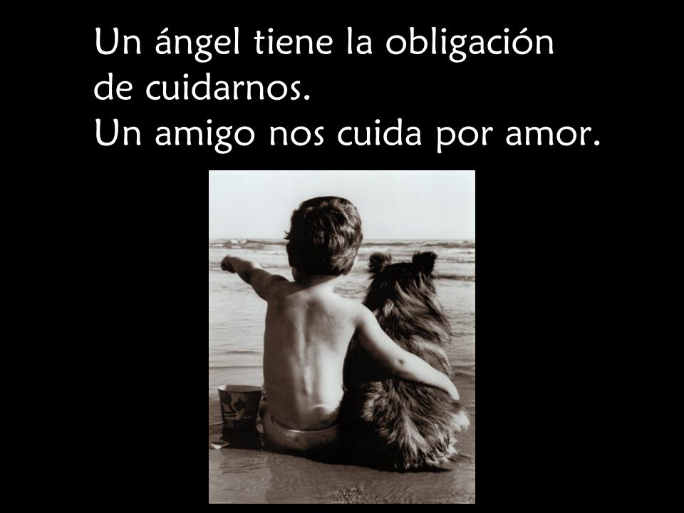 Un ángel tiene la obligación de cuidarnos. Un amigo nos cuida por amor.