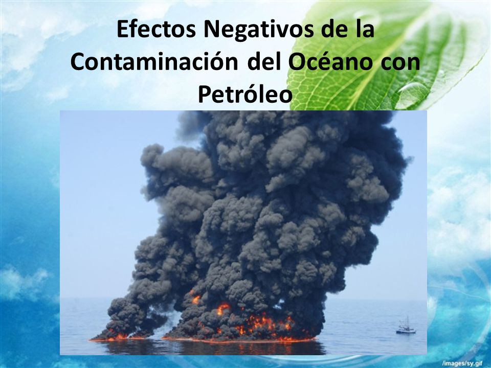 Efectos Negativos de la Contaminación del Océano con Petróleo