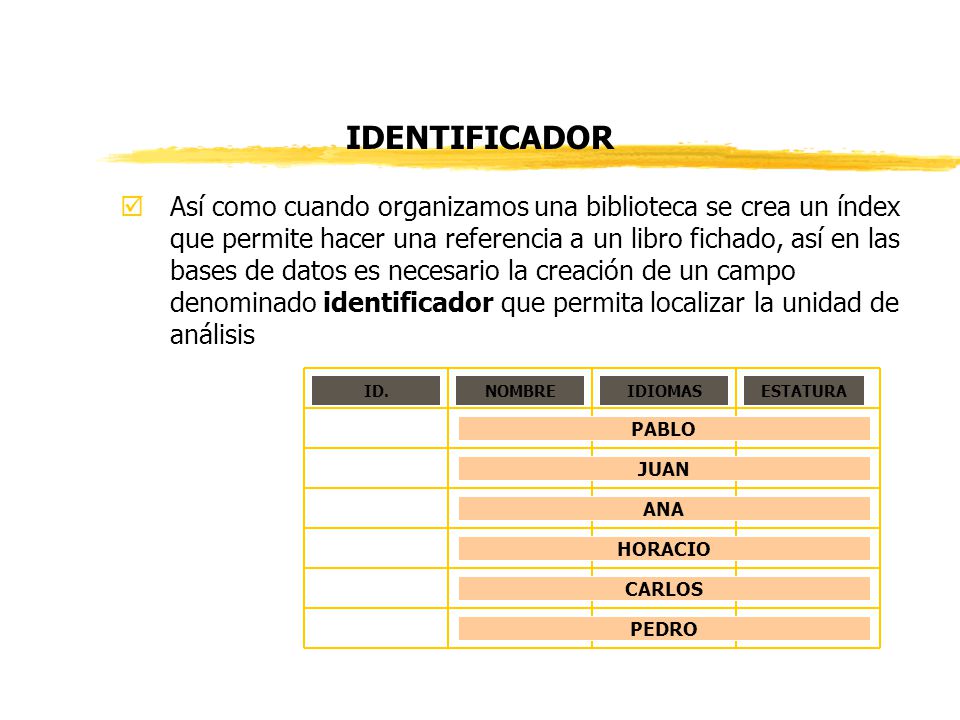 IDENTIFICADOR