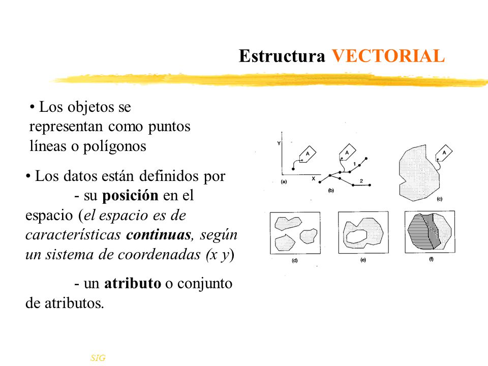 Estructura VECTORIAL Los objetos se representan como puntos líneas o polígonos.