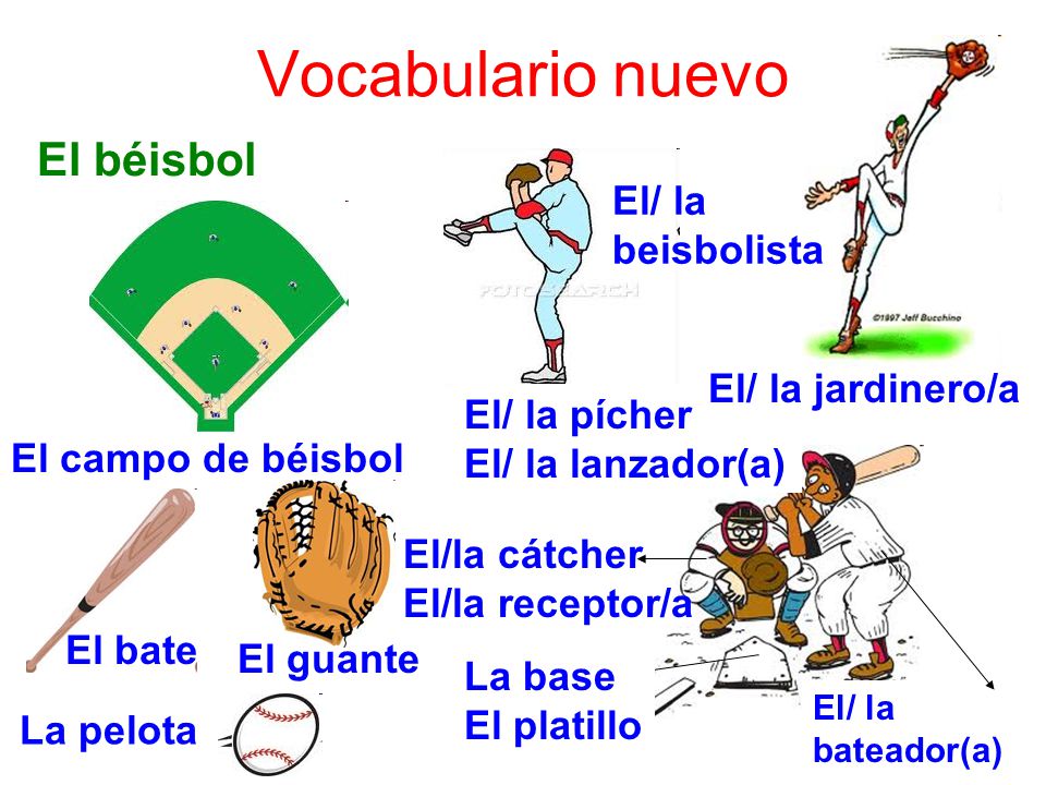 Vocabulario nuevo El béisbol El/ la beisbolista El/ la jardinero/a