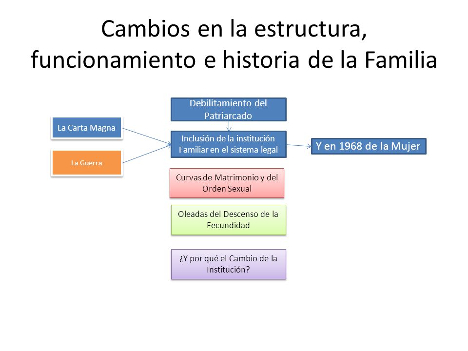 Cambios en la estructura, funcionamiento e historia de la Familia