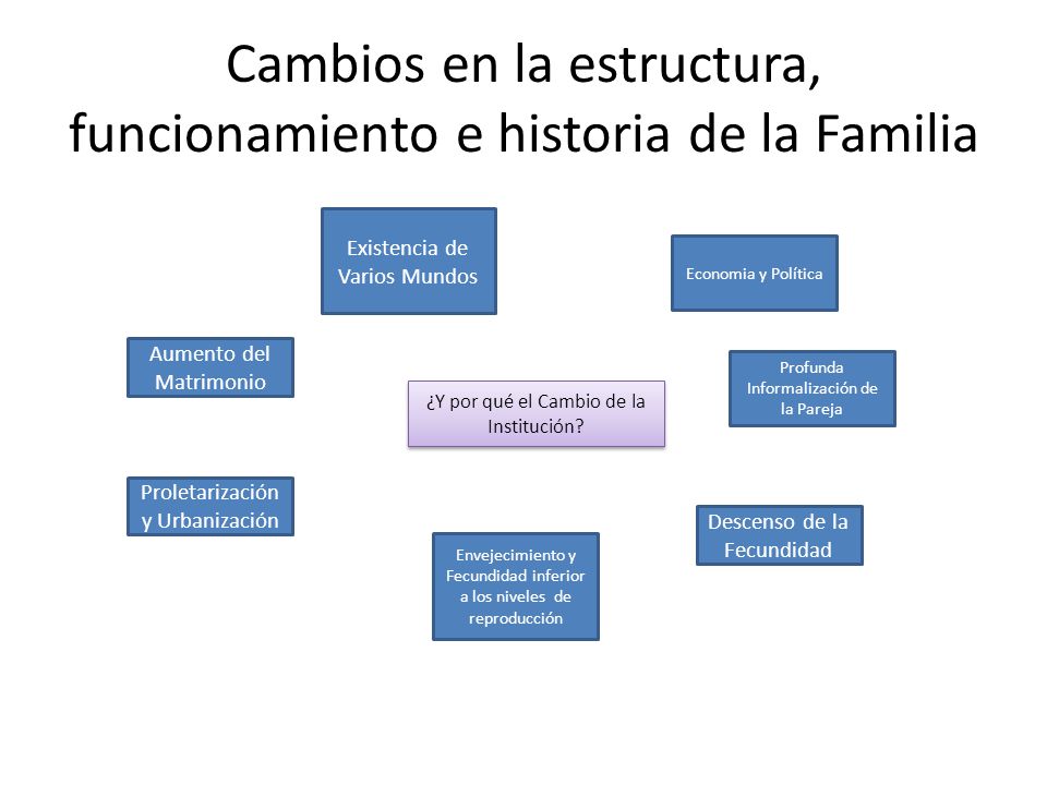 Cambios en la estructura, funcionamiento e historia de la Familia