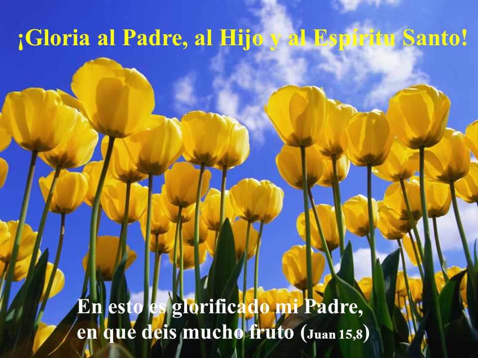 ¡Gloria al Padre, al Hijo y al Espíritu Santo!