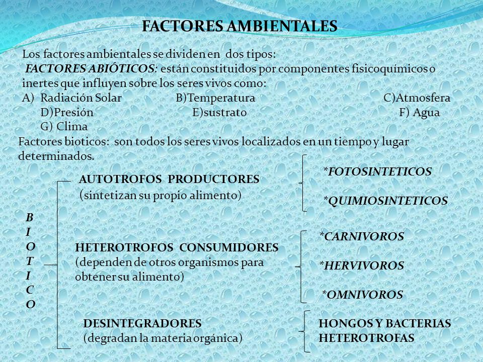 FACTORES AMBIENTALES Los factores ambientales se dividen en dos tipos: