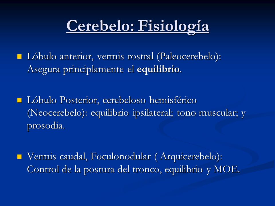 Cerebelo: Fisiología Lóbulo anterior, vermis rostral (Paleocerebelo): Asegura principlamente el equilibrio.