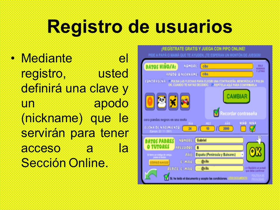 Registro de usuarios Mediante el registro, usted definirá una clave y un apodo (nickname) que le servirán para tener acceso a la Sección Online.