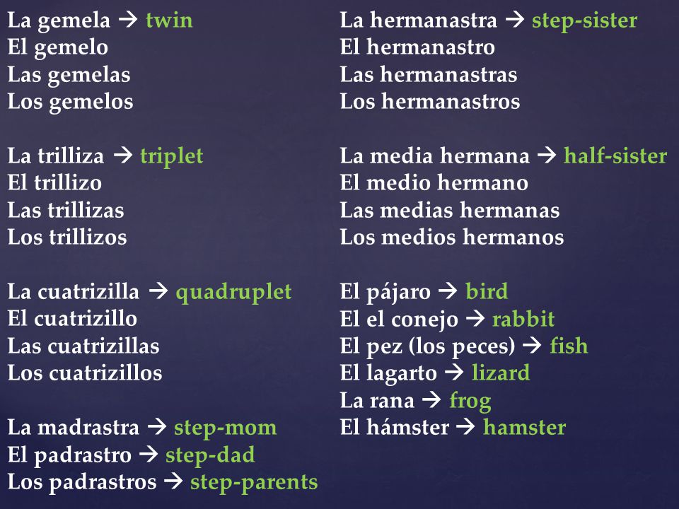 La gemela  twin La hermanastra  step-sister. El gemelo. El hermanastro. Las gemelas. Las hermanastras.