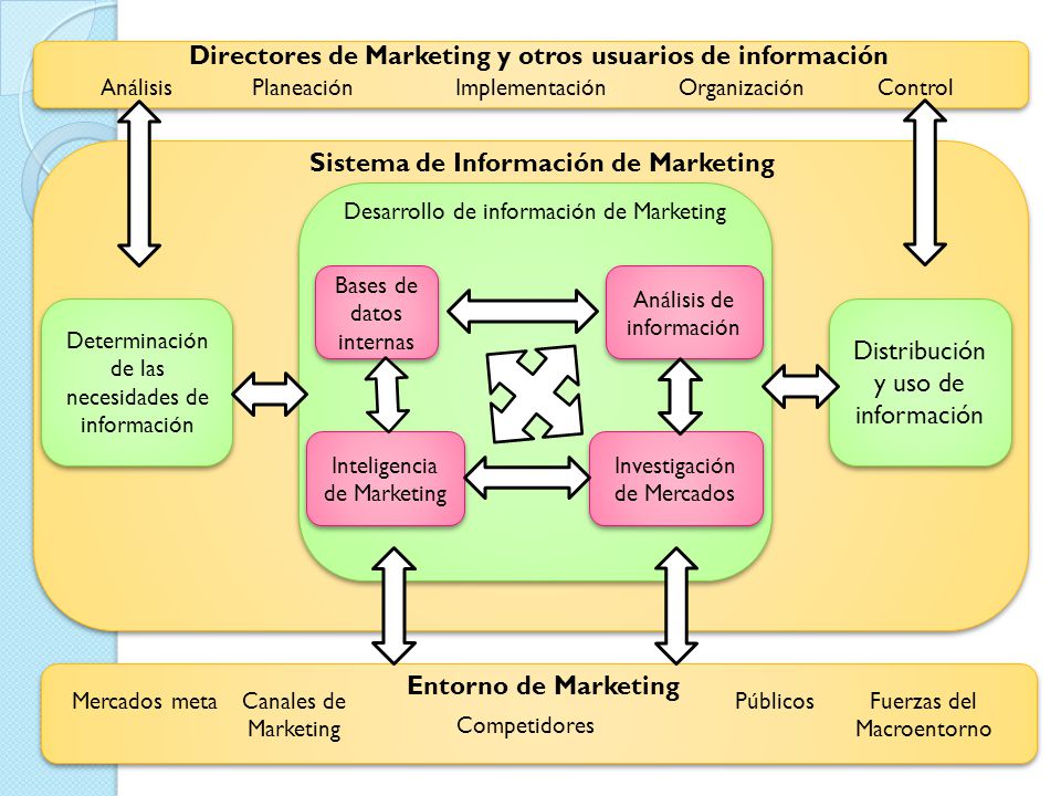 Directores de Marketing y otros usuarios de información