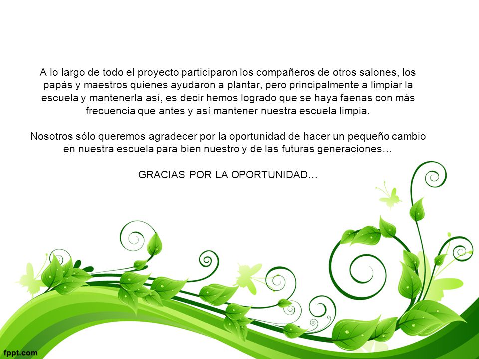 A lo largo de todo el proyecto participaron los compañeros de otros salones, los papás y maestros quienes ayudaron a plantar, pero principalmente a limpiar la escuela y mantenerla así, es decir hemos logrado que se haya faenas con más frecuencia que antes y así mantener nuestra escuela limpia.