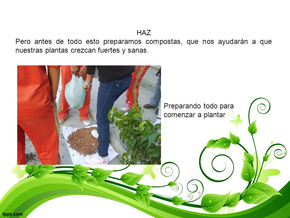 HAZ Pero antes de todo esto preparamos compostas, que nos ayudarán a que nuestras plantas crezcan fuertes y sanas.