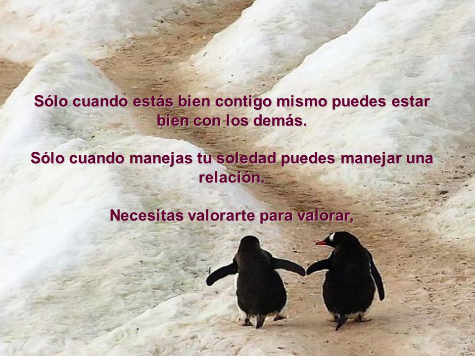 Sólo cuando estás bien contigo mismo puedes estar bien con los demás.