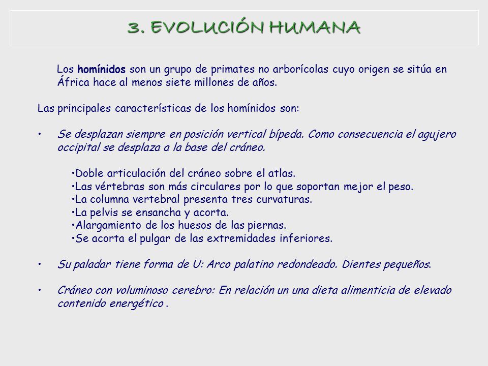 3. EVOLUCIÓN HUMANA Los homínidos son un grupo de primates no arborícolas cuyo origen se sitúa en África hace al menos siete millones de años.