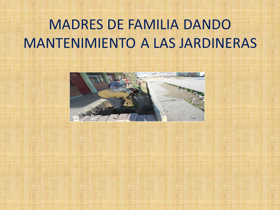 MADRES DE FAMILIA DANDO MANTENIMIENTO A LAS JARDINERAS