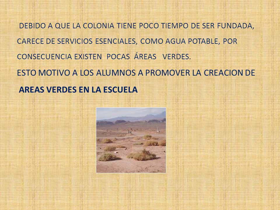 DEBIDO A QUE LA COLONIA TIENE POCO TIEMPO DE SER FUNDADA, CARECE DE SERVICIOS ESENCIALES, COMO AGUA POTABLE, POR CONSECUENCIA EXISTEN POCAS ÁREAS VERDES.