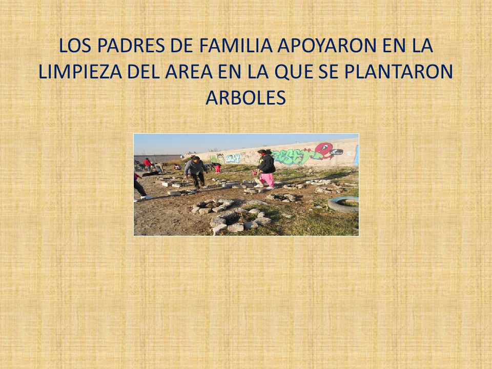LOS PADRES DE FAMILIA APOYARON EN LA LIMPIEZA DEL AREA EN LA QUE SE PLANTARON ARBOLES