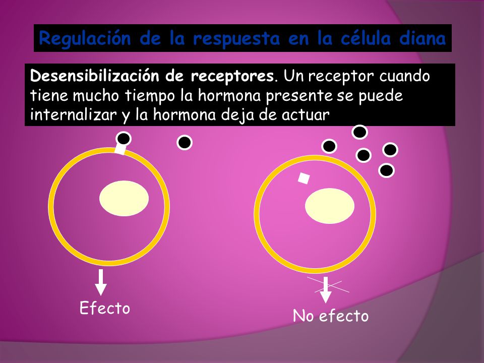 Regulación de la respuesta en la célula diana