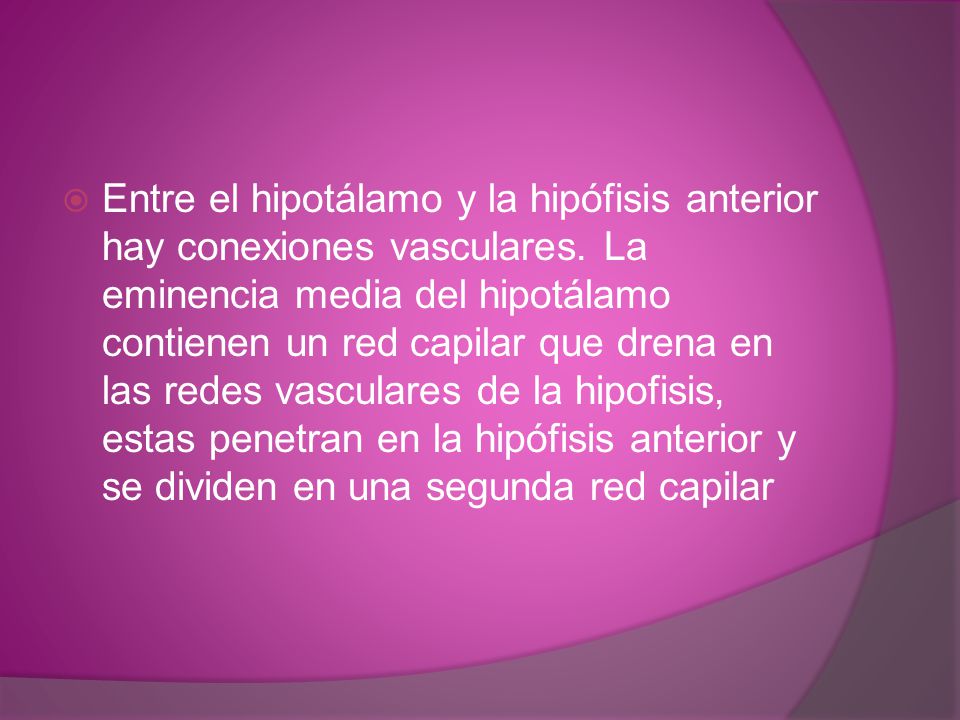 Entre el hipotálamo y la hipófisis anterior hay conexiones vasculares