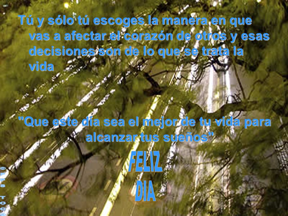 Que este día sea el mejor de tu vida para alcanzar tus sueños