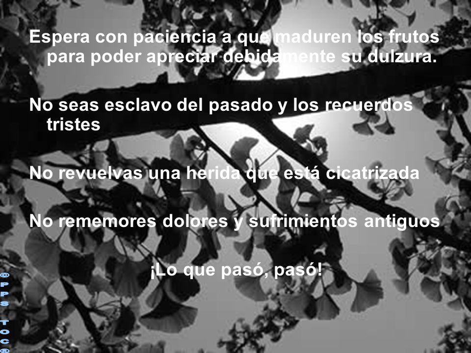 Espera con paciencia a que maduren los frutos para poder apreciar debidamente su dulzura.
