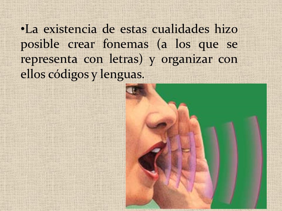 La existencia de estas cualidades hizo posible crear fonemas (a los que se representa con letras) y organizar con ellos códigos y lenguas.