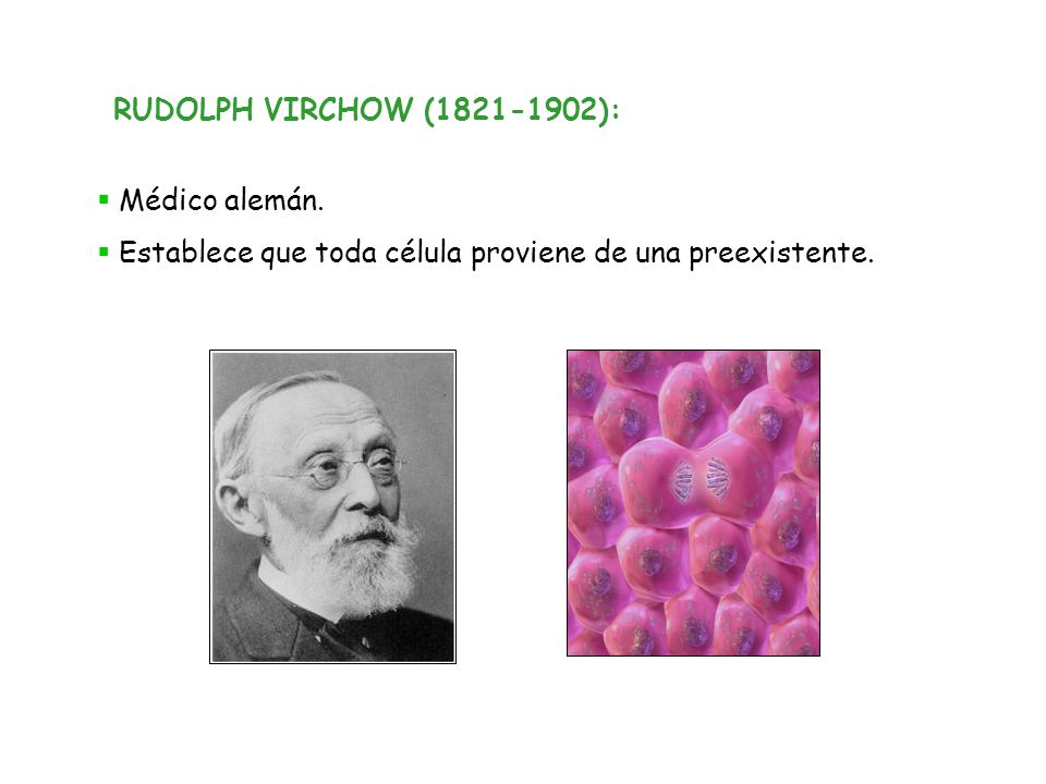 RUDOLPH VIRCHOW ( ): Médico alemán. Establece que toda célula proviene de una preexistente.