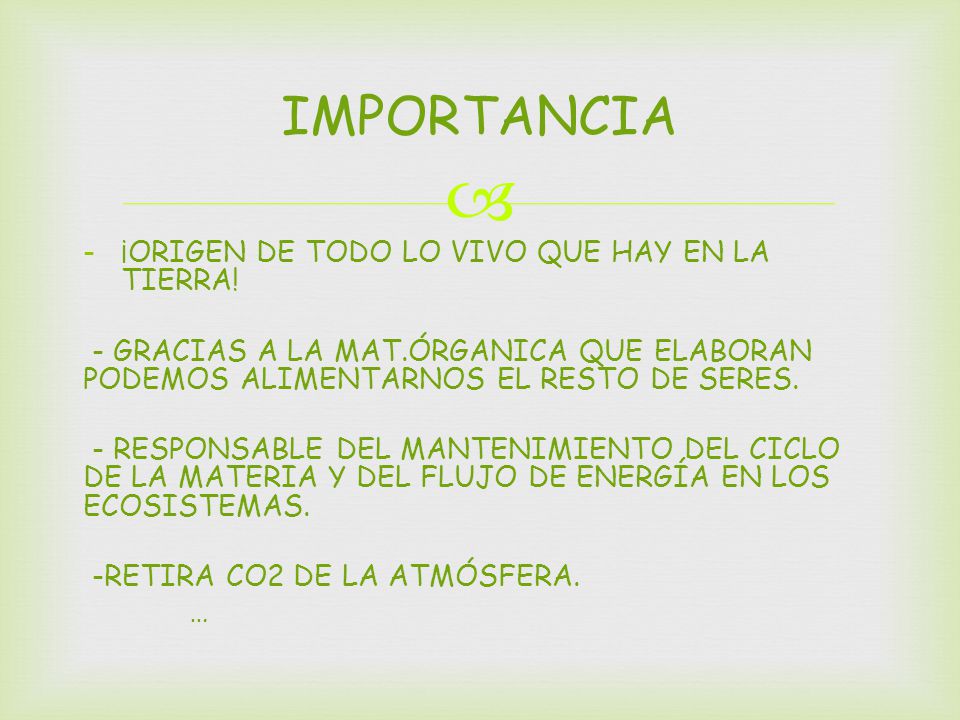 IMPORTANCIA ¡ORIGEN DE TODO LO VIVO QUE HAY EN LA TIERRA!