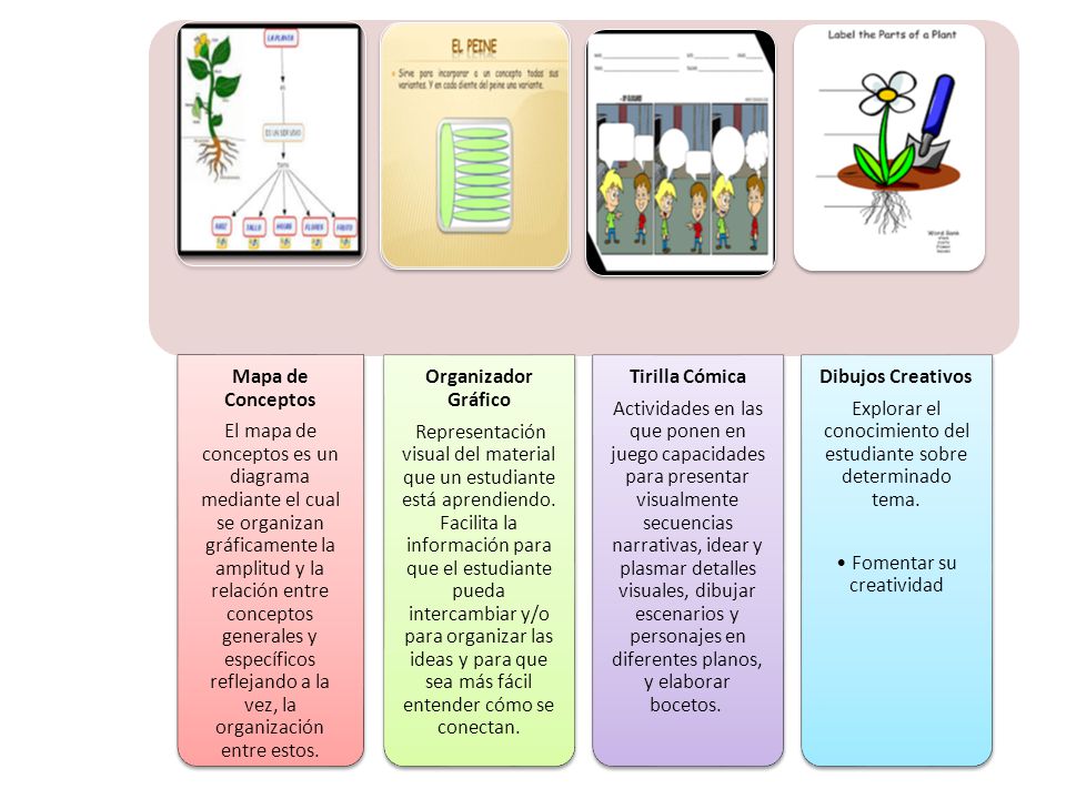 Mapa de Conceptos Organizador Gráfico Tirilla Cómica Dibujos Creativos