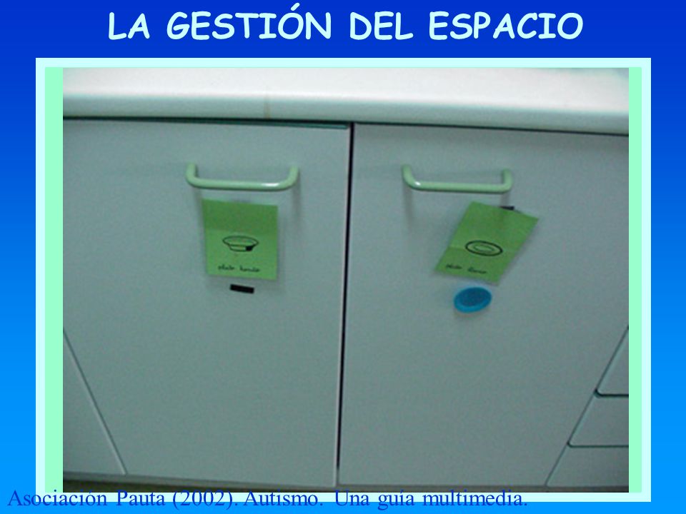 LA GESTIÓN DEL ESPACIO ÑÑ Asociación Pauta (2002). Autismo. Una guía multimedia.