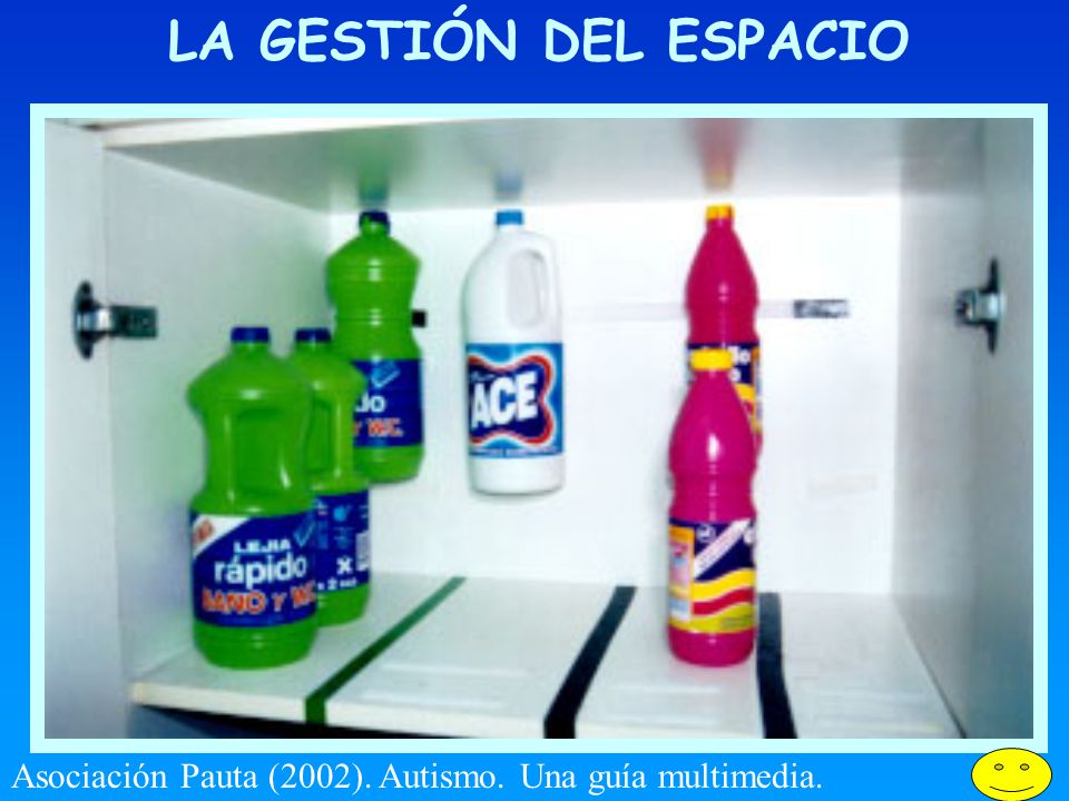 LA GESTIÓN DEL ESPACIO Asociación Pauta (2002). Autismo. Una guía multimedia.