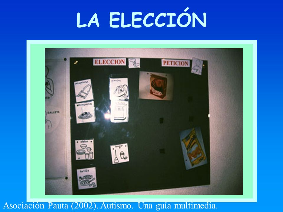 LA ELECCIÓN X Asociación Pauta (2002). Autismo. Una guía multimedia.